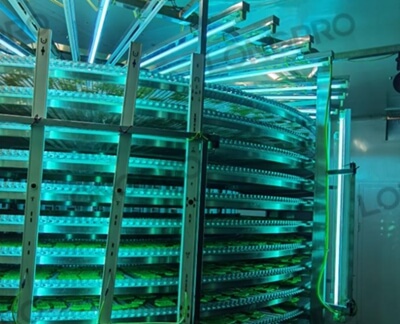 食品廠防爆紫外線殺菌燈：保障食品生產(chǎn)環(huán)境安全的利器！