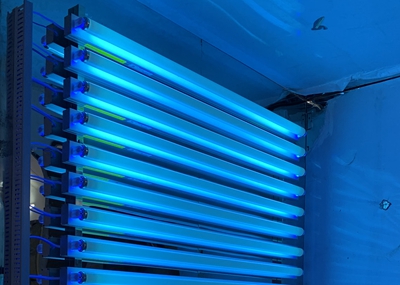 如何通過(guò)UV紫外光照實(shí)驗(yàn)箱構(gòu)建動(dòng)物皮膚光老化模型？