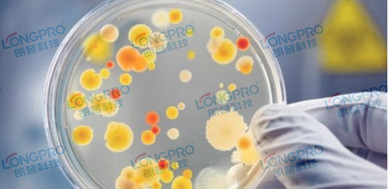 衛(wèi)生棉殺菌5_副本.jpg 衛(wèi)生棉殺菌5_副本.jpg