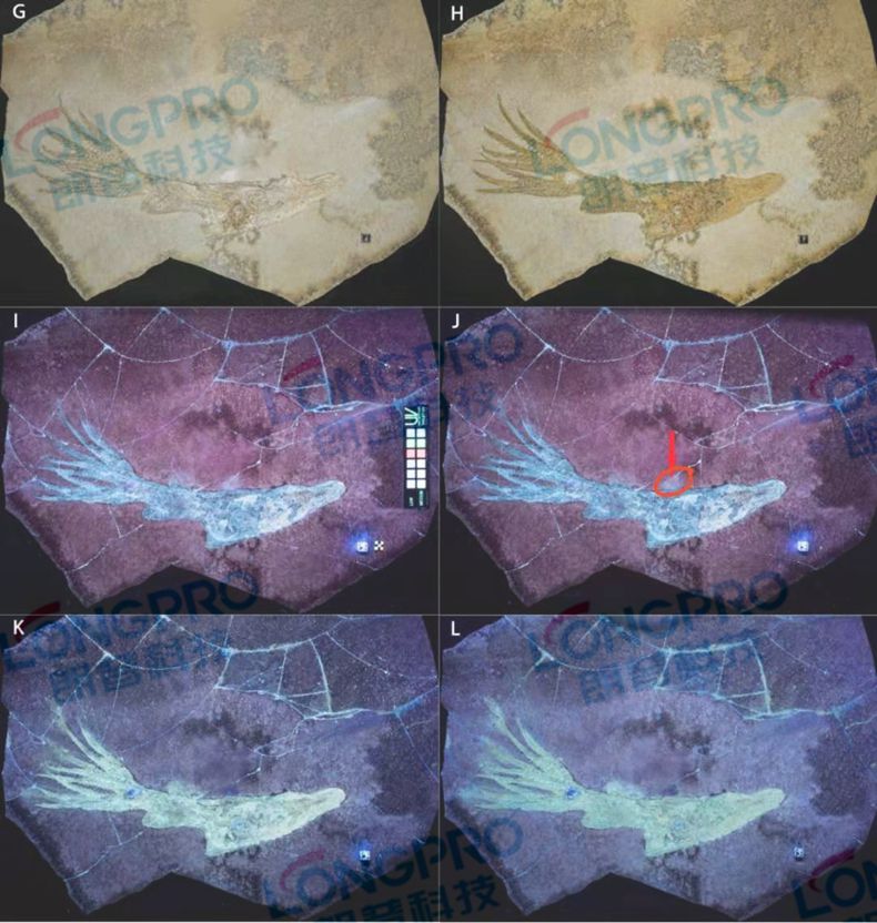 微信圖片_20190928163820_副本.jpg 微信圖片_20190928163820_副本.jpg