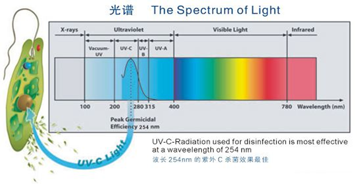 科普！紫外線殺菌燈對(duì)人體影響及正確使用方法