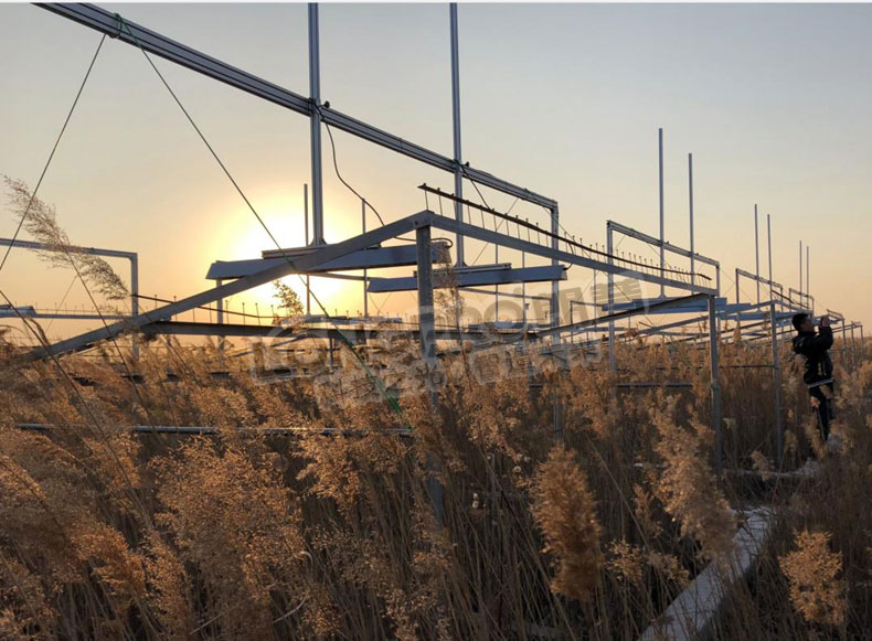 蘆葦?shù)卦鰷啬M實驗.jpg 蘆葦?shù)卦鰷啬M實驗.jpg